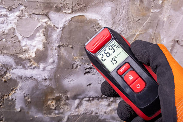 Home Mold Removal in Bement, IL